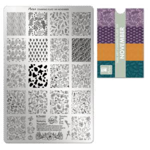 Stamping Plate - 149 November