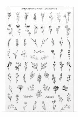 Stamping Plate -  097 Green Leaves 2 - Try On Sheet