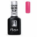 Colour Gloss No-wipe Top Coat