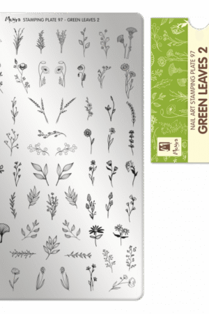Stamping Plate - 097 Green Leaves 2