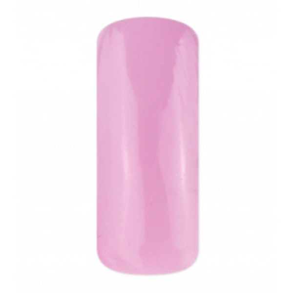Flexi Builder Base BIAB - Image 12