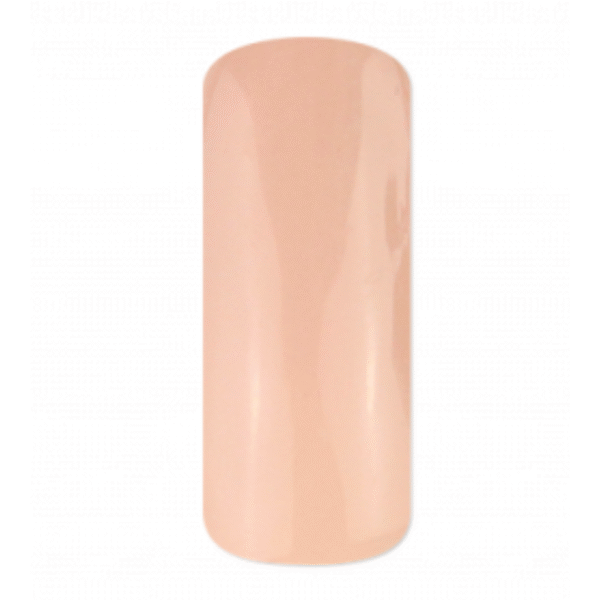 Flexi Builder Base BIAB - Image 13